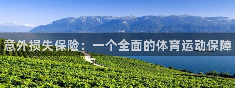 oety欧亿体育官网下载招商电话号码查询:意外损失保险:一个