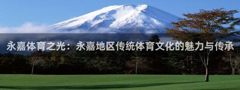 海南oety欧亿体育官网下载:永嘉体育之光:永嘉地区传统体育