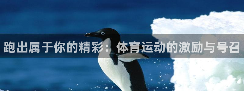 oety欧亿体育官网下载招商电话号码:跑出属于你的精彩:体育