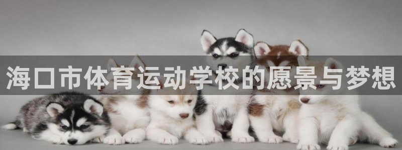 欧亿体育官方正版app娱乐下载:海口市体育运动学校的愿景与梦